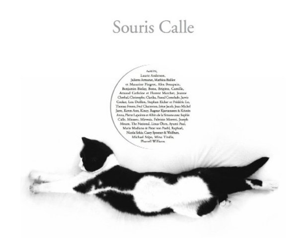 Annonce Souris Calle